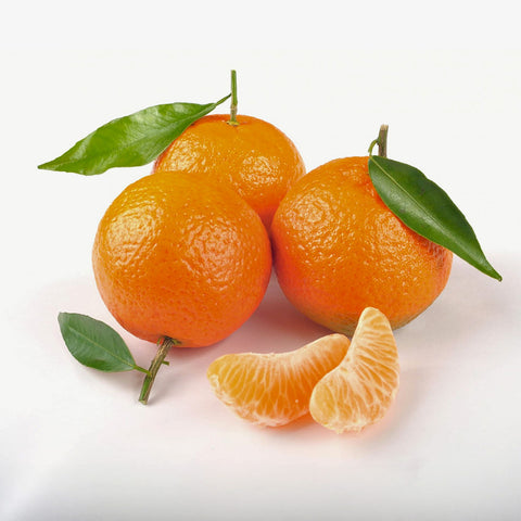 Calabrian Clementines - 1 Kg