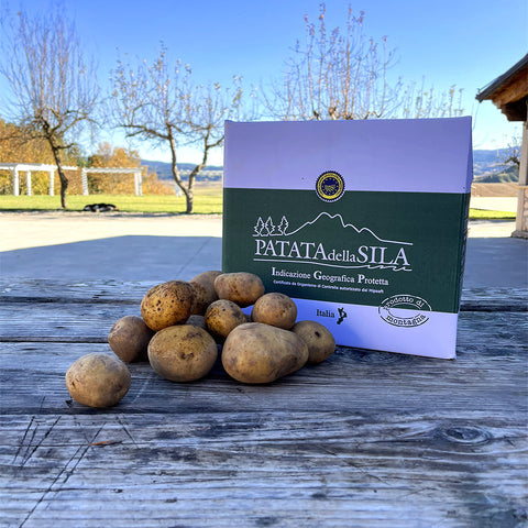 Patata della Sila IGP pasta gialla - 8 Kg