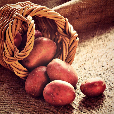 Patate rosse Laura - Buccia rossa pasta gialla - 2,5 Kg