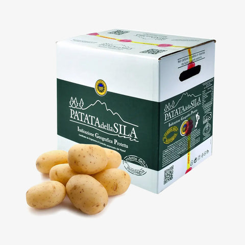 Patata della Sila IGP pasta gialla - 8 Kg